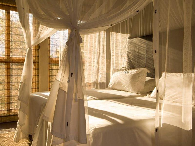 Divava Okavango Resort And Spa Bagani Extérieur photo